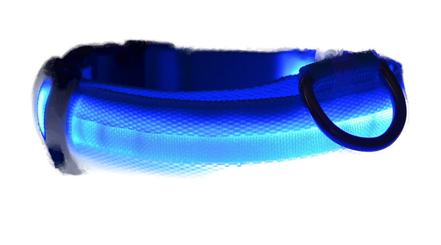 קולר LED כחול, מידה M